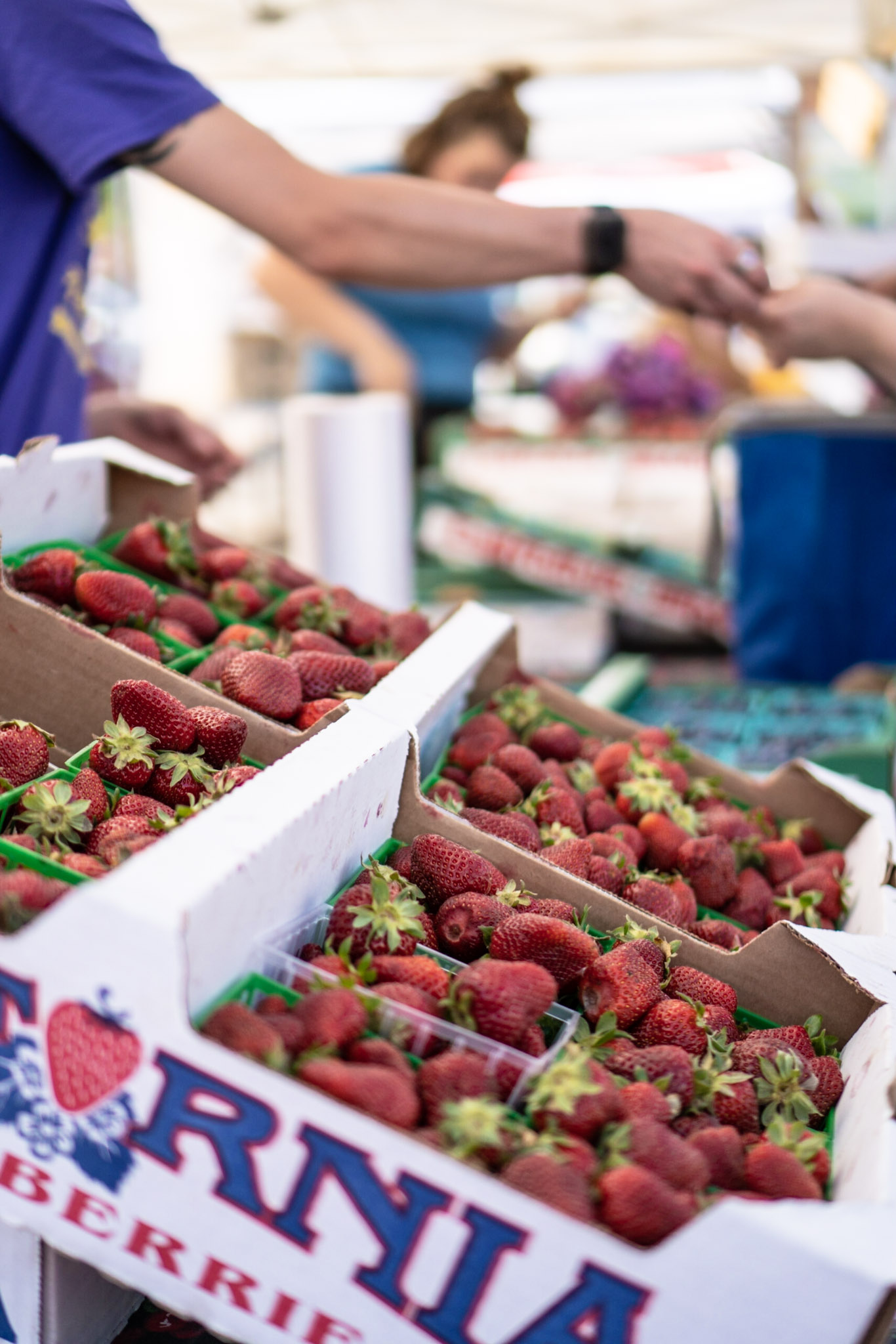 The Market is Coming on June 26th!