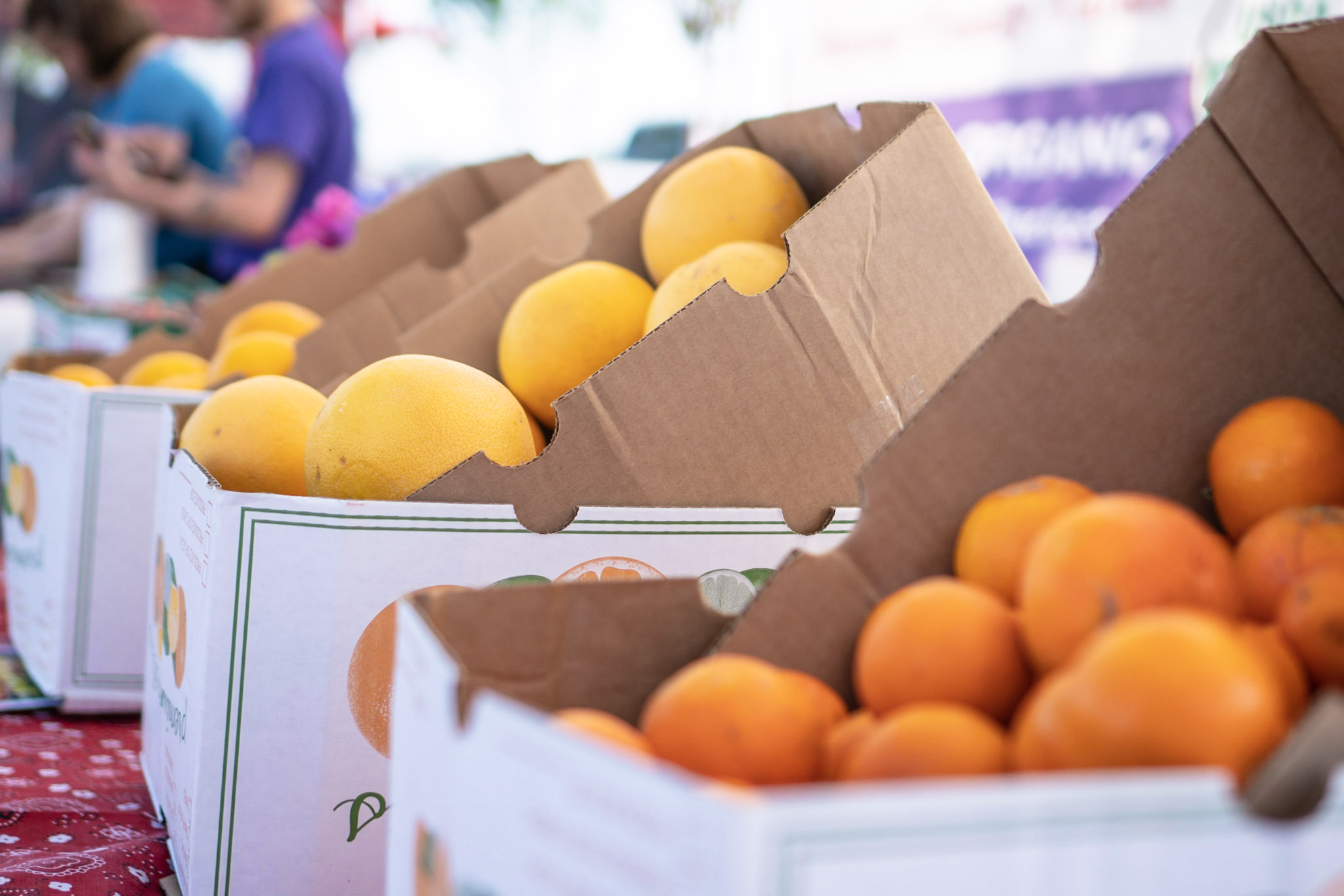 Market at Seven Oaks Business Park to host a Safe Halloween on October 23rd