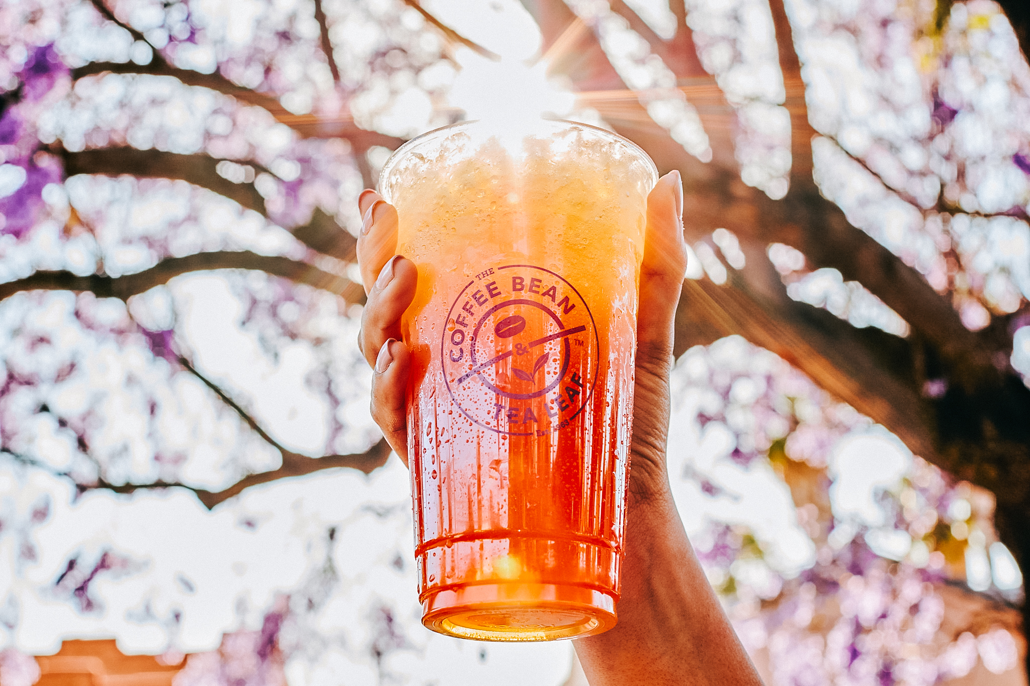 Welcome! The Coffee Bean & Tea